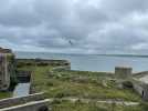 VIDÉO. L'office de tourisme du Cotentin propose des visites de l'île Pelée