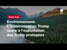 VIDEO. Environnement. L'administration Trump ouvre à l'exploitation des forêts protégées