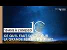 Ce qu'il faut savoir sur la fête des 10 ans de l'inscription du Champagne à l'Unesco