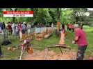 VIDÉO. C'est parti pour la Fête du bois, à Saint-Gatien-des-Bois, près de Deauville