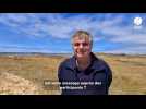 VIDÉO. Alexandre Jardin, leader des #Gueux soutient les anti éoliens dans le Morbihan
