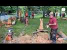 VIDÉO. Sculptures et concours de bûcheronnage à la Fête du bois, à Saint-Gatien-des-Bois