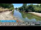 Phénomène inexpliqué dans l'Aube, dans le canal entre Pont-sur-Seine et Marnay-sur-Seine