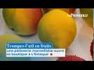 Trompes-l'oeil en fruits : une pâtisserie marseillaise ouvre sa boutique à L'Estaque