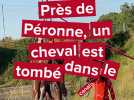 Opération délicate pour sortir un cheval tombé dans le canal près de Péronne