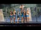 Les loutres alsaciennes, champions de France de natation artistique masculine