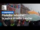 Poulailler industriel de Steenwerck : la justice va enfin trancher