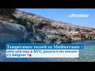 Température record en Méditerranée : vers une eau à 30°C, pourra-t-on encore s'y baigner ?