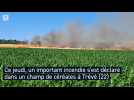 Important incendie dans un champ de céréales sur Trévé