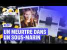 Le meurtre barbare de Kim Wall dans un sous-marin danois