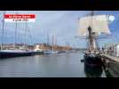 VIDÉO. Aux Grandes voiles du Havre, les visites de bateaux se font sous le soleil