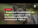 VIDEO.« Empêcher l'implantation du loup » : 3 questions sur la déclaration polémique d'Emmanuel Macron