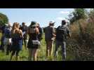 Saint-Urbain : Le jury du concours d'agroforesterie visite les fermes des candidats