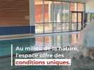 Loisirs - Trois couloirs de nage, sauna, hammam, bassin à bulles... On vous amène dans cet espace aqualudique du Cézallier