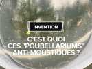 C'est quoi ces 