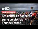 Qui est le plus jeune coureur, le plus âge, le plus titré... : les chiffres du peloton du Tour de France 2025