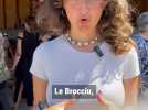 Une réunion de bergers à Porticcio pour sauver l'AOP brocciu