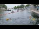 Baignade dans la Seine: 