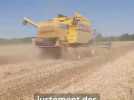 Agriculture - 