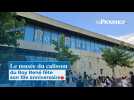 Le musée du calisson du Roy René fête son 10e anniversaire