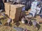 Willy Schraen, le président des chasseurs, au salon des migrateurs de Cayeux-sur-Mer pour défendre la chasse au gibier d'eau menacée de moratoires sur certaines espèces, 5 juillet 2025