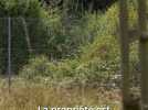 Vidéo Justice - Soupçons de braconnage dans un domaine d'Olivier Bouygues, en Sologne : quatre personnes renvoyées devant le tribunal Vidéo Justice - Soupçons de braconnage dans un domaine d'Olivier Bouygues, en Sologne : quatre personnes renvoyées devant le tribunal