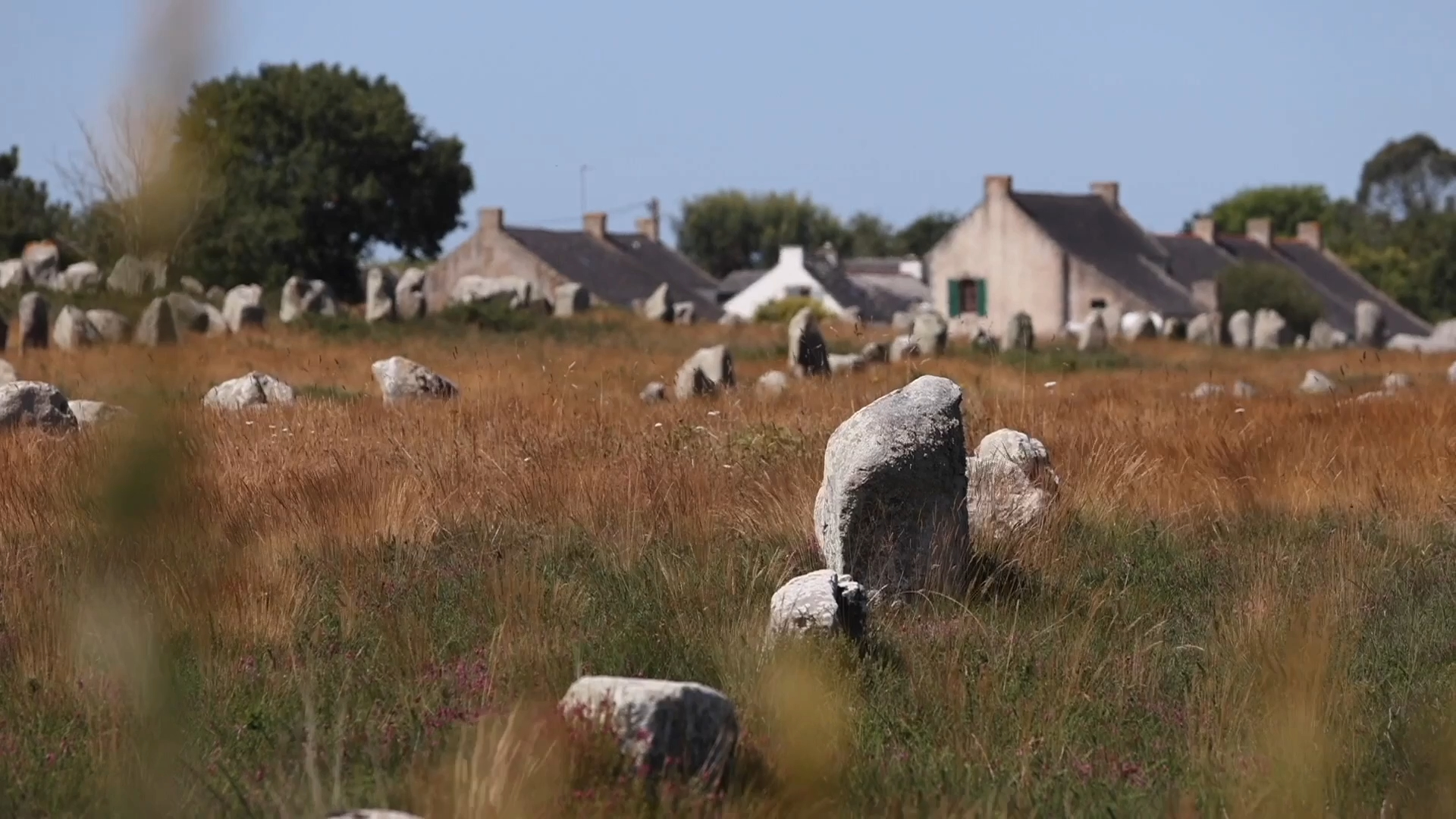 Trois personnes décèdent en mer, les mégalithes bientôt à l'UNESCO : T dans l'actu fait le tour de l'info en vidéo