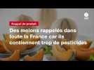VIDEO. Des melons rappelés dans toute la France car ils contiennent trop de pesticides
