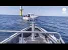 VIDEO. A-t-on le droit de naviguer entre les éoliennes en mer ?