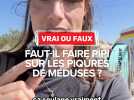 Questions de l'été : faut-il faire pipi sur une piqûre de méduse pour soulager la brûlure ?