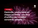 VIDEO. Canicule, sécheresse et risque incendie : les feux d'artifice du 14 juillet seront-ils annulés ?