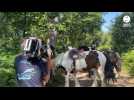 VIDÉO. Une scène de la série Au Galop de France TV enregistrée à Firfol, près de Lisieux