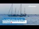 La température de la mer chute d'une dizaine de degrés à La Ciotat