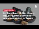 VIDÉO. Leclerc, Super U, Carrefour... Des barquettes de moules rappelées partout en France