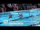 [Bande-annonce] Gala de natation synchronisée : Terra Synchronica