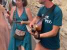 Ambiance dans les rues au festival d'Avignon