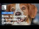 Rosie, la coqueluche des résidents du Carrefour de l'Amitié