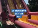 Mont Serein : la station refuge par canicule