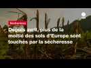 VIDEO. Depuis avril, plus de la moitié des sols d'Europe sont touchés par la sécheresse