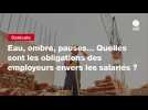 VIDEO. Eau, ombre, pauses... Quelles sont les obligations des employeurs envers les salariés ?