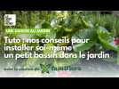 Tuto jardinage : nos conseils pour créer un petit bassin dans son jardin