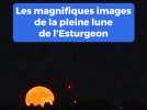 Les magnifiques images de la pleine lune de l'Esturgeon
