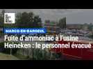 Fuite d'ammoniac à l'usine Heineken à Marcq-en-Baroeul : le personnel évacué
