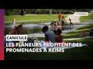 A la rencontre des flâneurs sur les Promenades de Reims