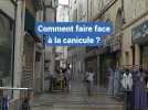 A Avignon, on résiste comme on peut aux fortes chaleurs