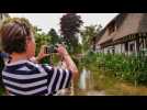 Il fait trop chaud dans le pays de Caux : manoir de la Buissonnière, parc des Aulnes... Ces lieux où se rafraîchir