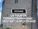 Paysage : La tour de Termes-D'Armagnac : vestige du Moyen- Âge