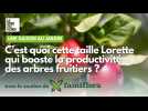 Jardinage : cette taille miraculeuse des pommiers a été inventée dans le Nord