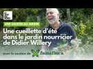 Les fruitiers sont en fête : comment se passe l'été dans le jardin résilient de Didier ?