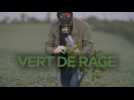 Vert de rage